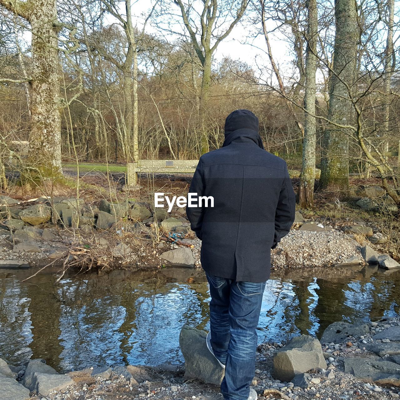 VIEW OF TREES IN WATER