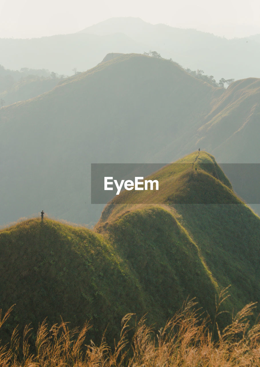 A tourist standing in the middle of the golden mountains in the evening before sunset