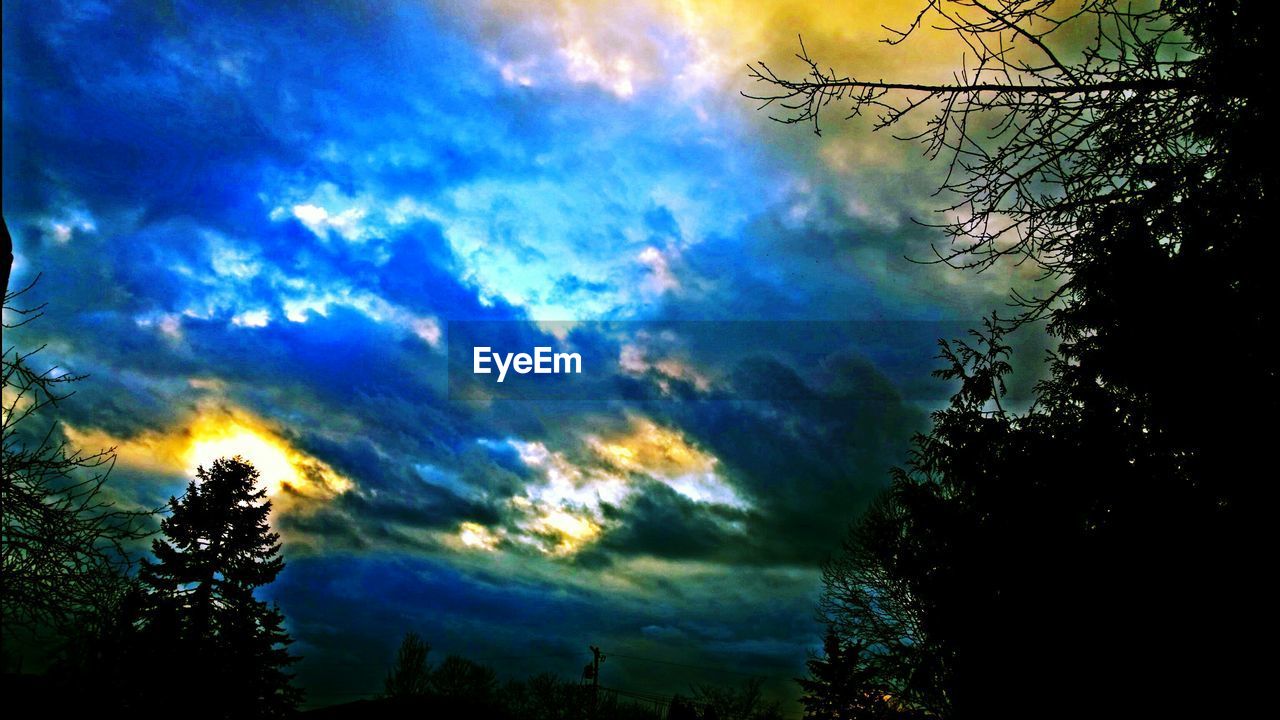 LOW ANGLE VIEW OF TREES AGAINST CLOUDY SKY