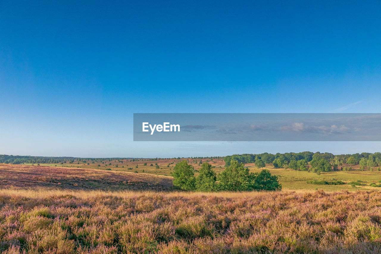 SCENIC VIEW OF LAND AGAINST SKY