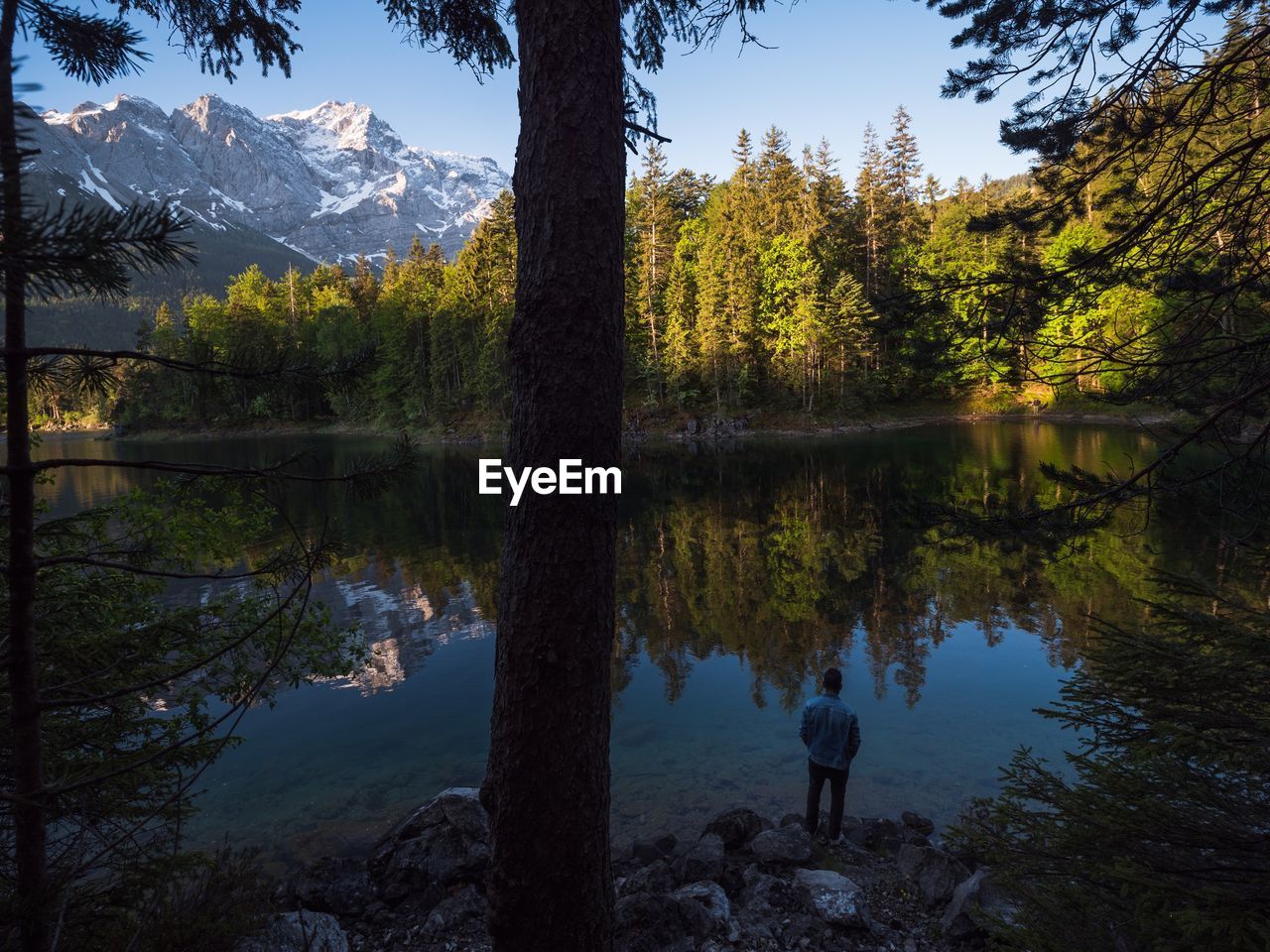 Scenic view of lake in forest against sky