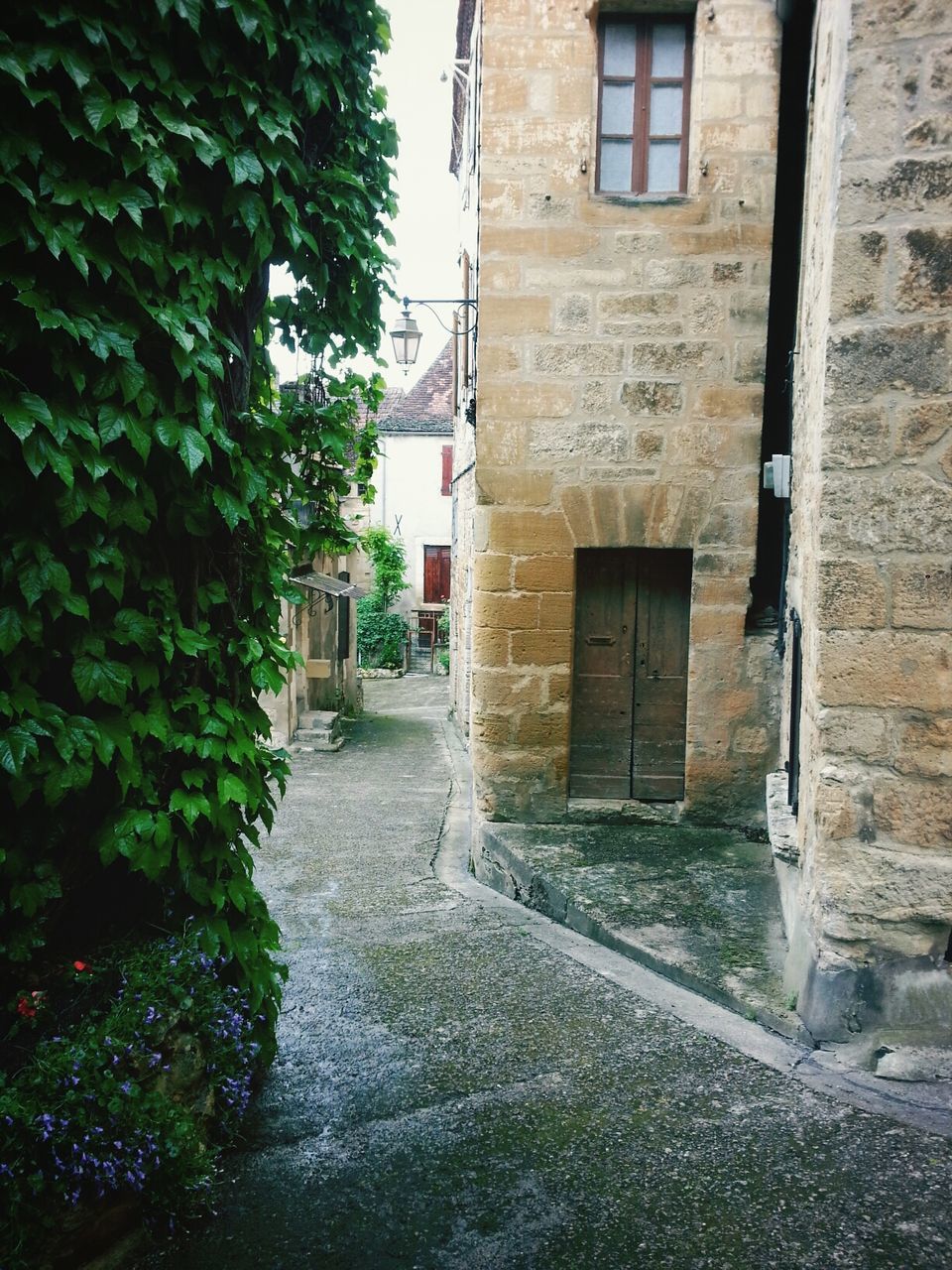 Narrow street amidst residential buildings