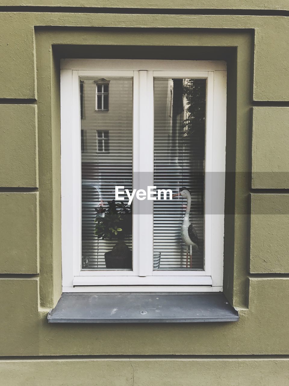 CLOSE-UP OF HOUSE WINDOW