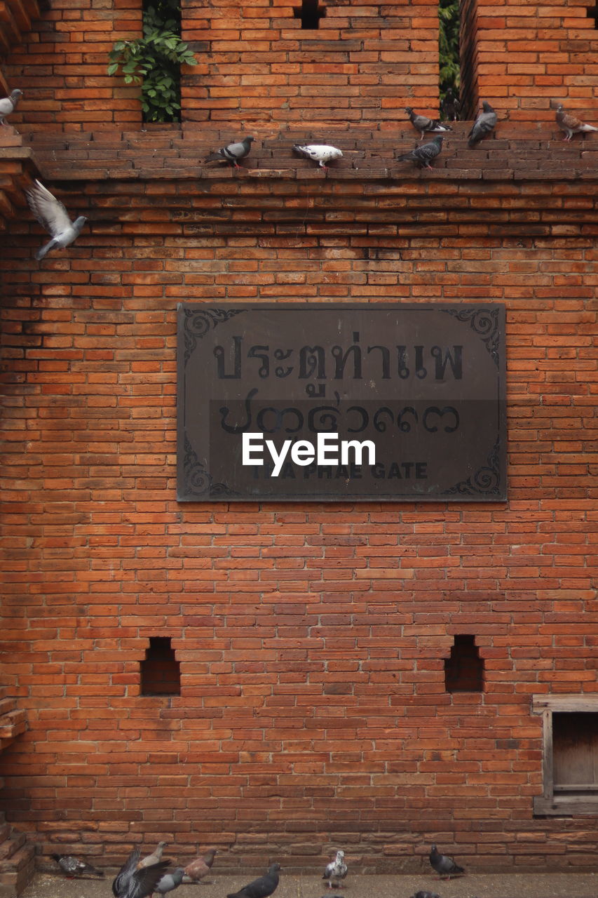 wall, wood, text, door, no people, entrance, architecture, communication, western script, brown, built structure, closed, house, day, building exterior, iron, old, building