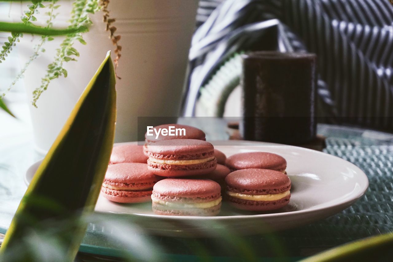 Macaroons in plate on table