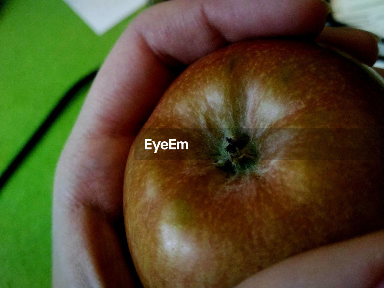 CLOSE-UP OF HAND HOLDING BREAD IN PLATE