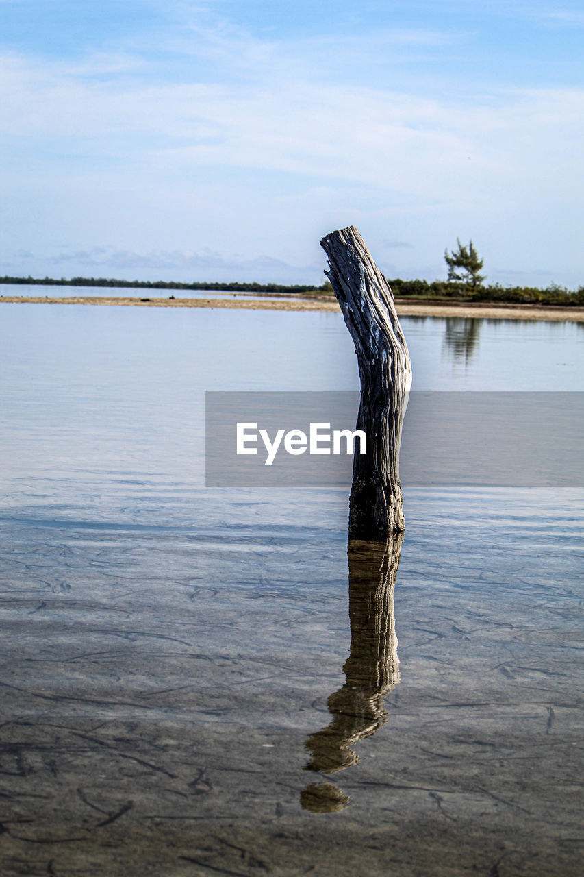 DRIFTWOOD ON WOODEN POST IN LAKE AGAINST SKY