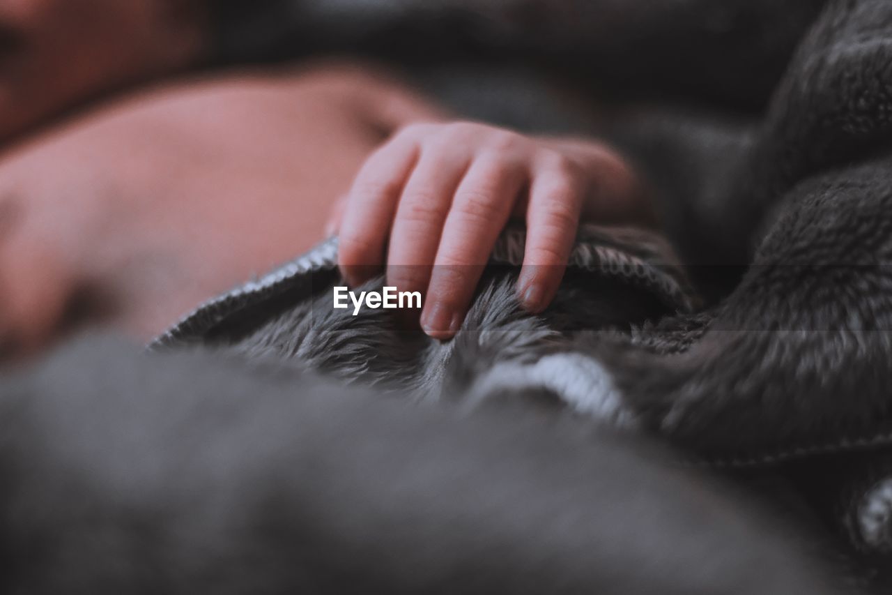 CLOSE-UP OF HAND WITH CAT RELAXING ON BED