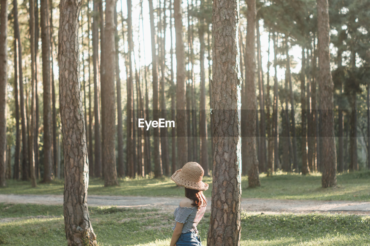 Side view of woman standing by trees in forest