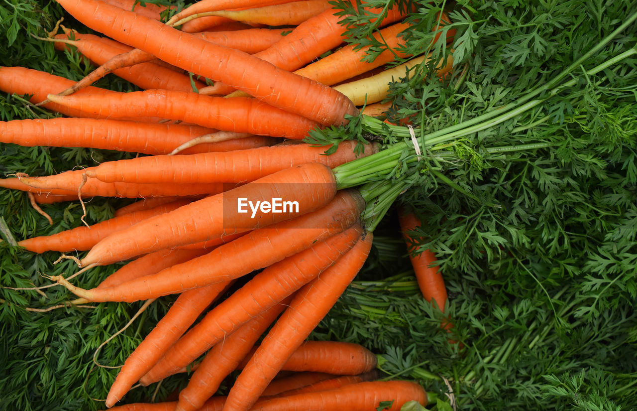 Close-up of carrots for sale in market