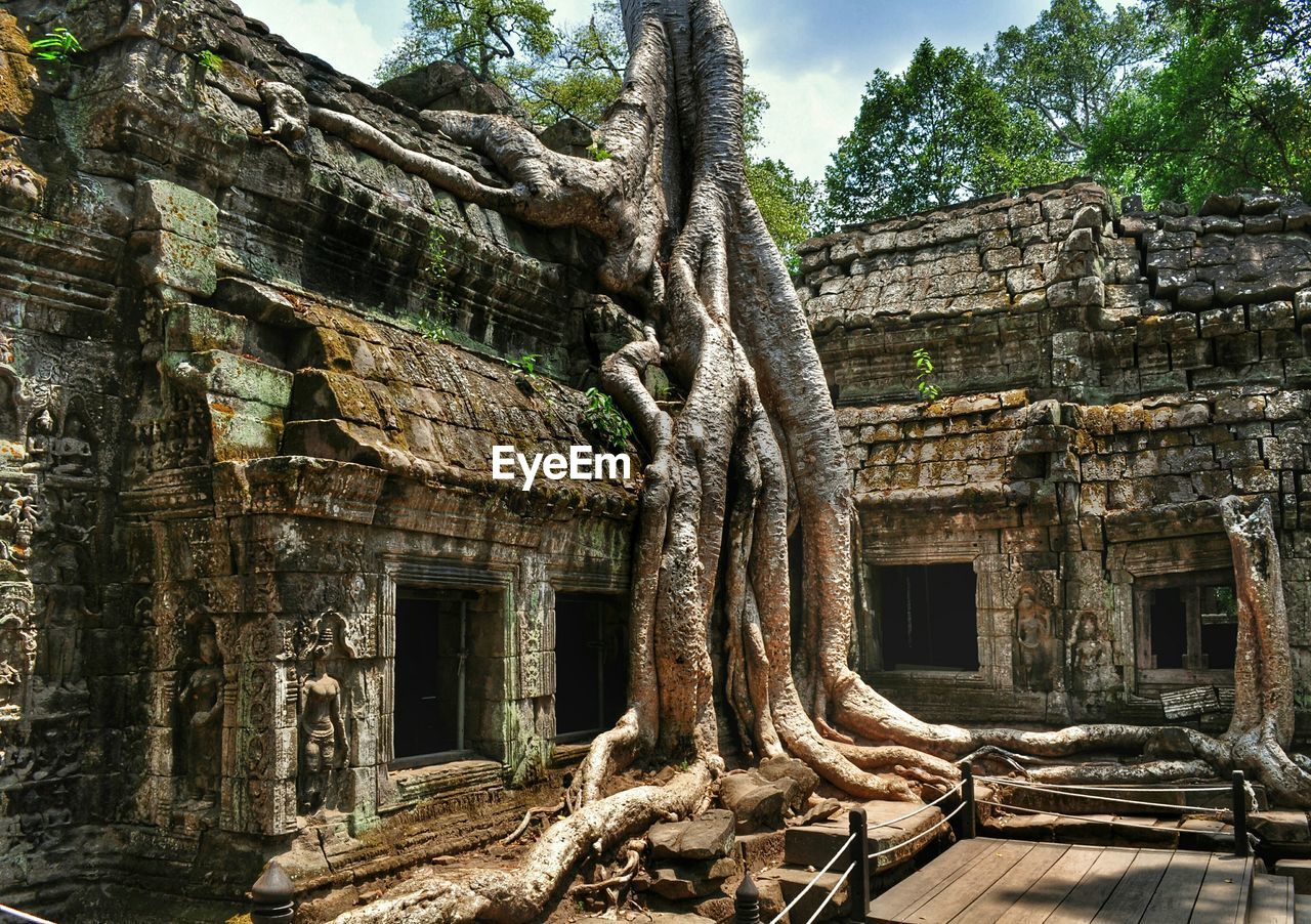 View of ta prohm, cambodia