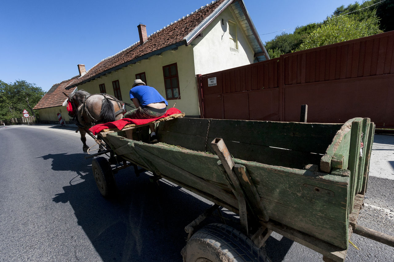 REAR VIEW OF PEOPLE TRAVELING IN BUILDING