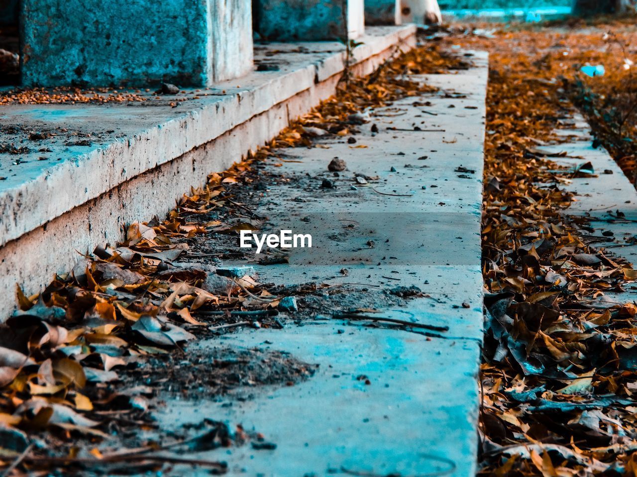 Close-up of dry leaves on steps during autumn