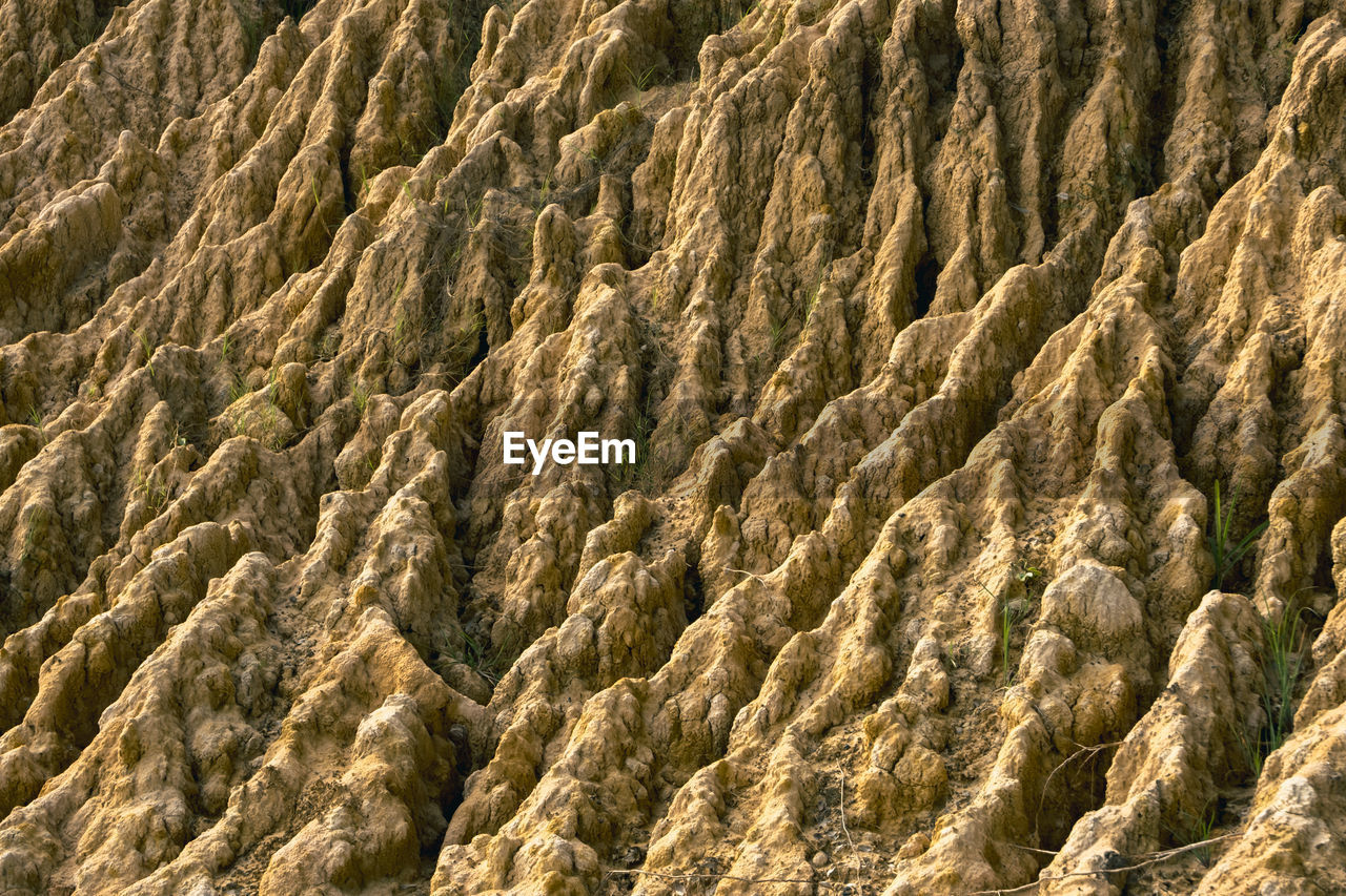 A pile of soil that has been eroded into a large rut when it rains.