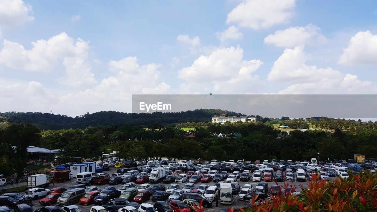 PANORAMIC VIEW OF TREES