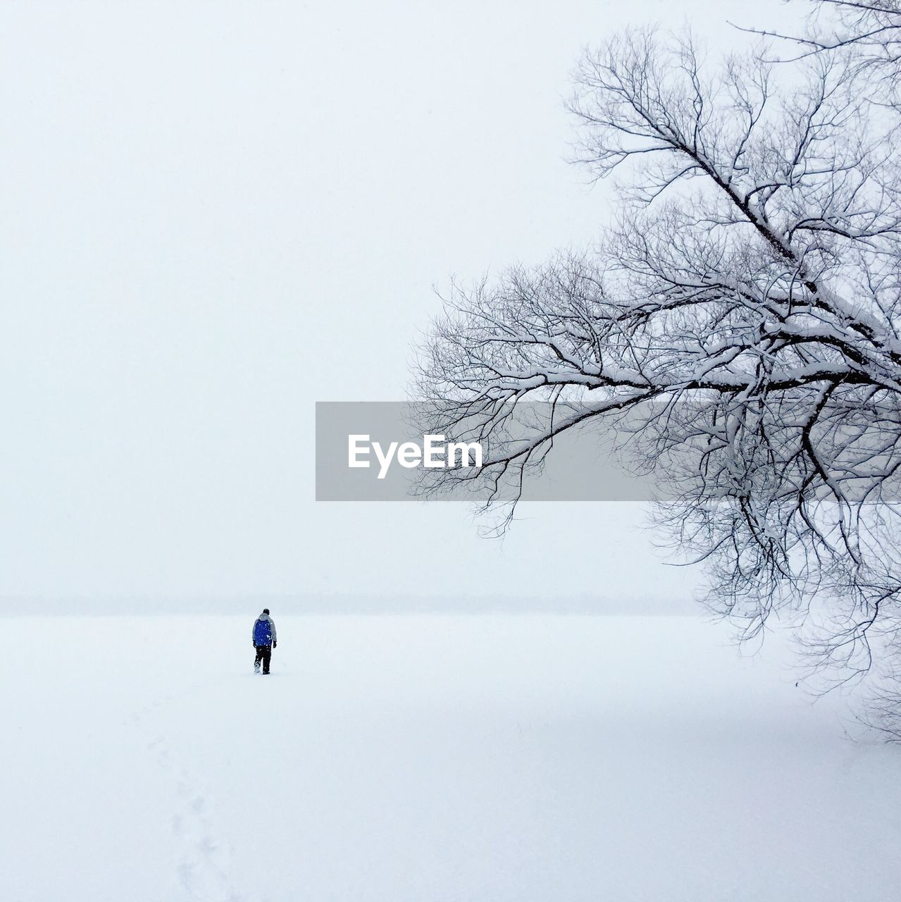 Rear view of man walking on snow covered landscape against sky