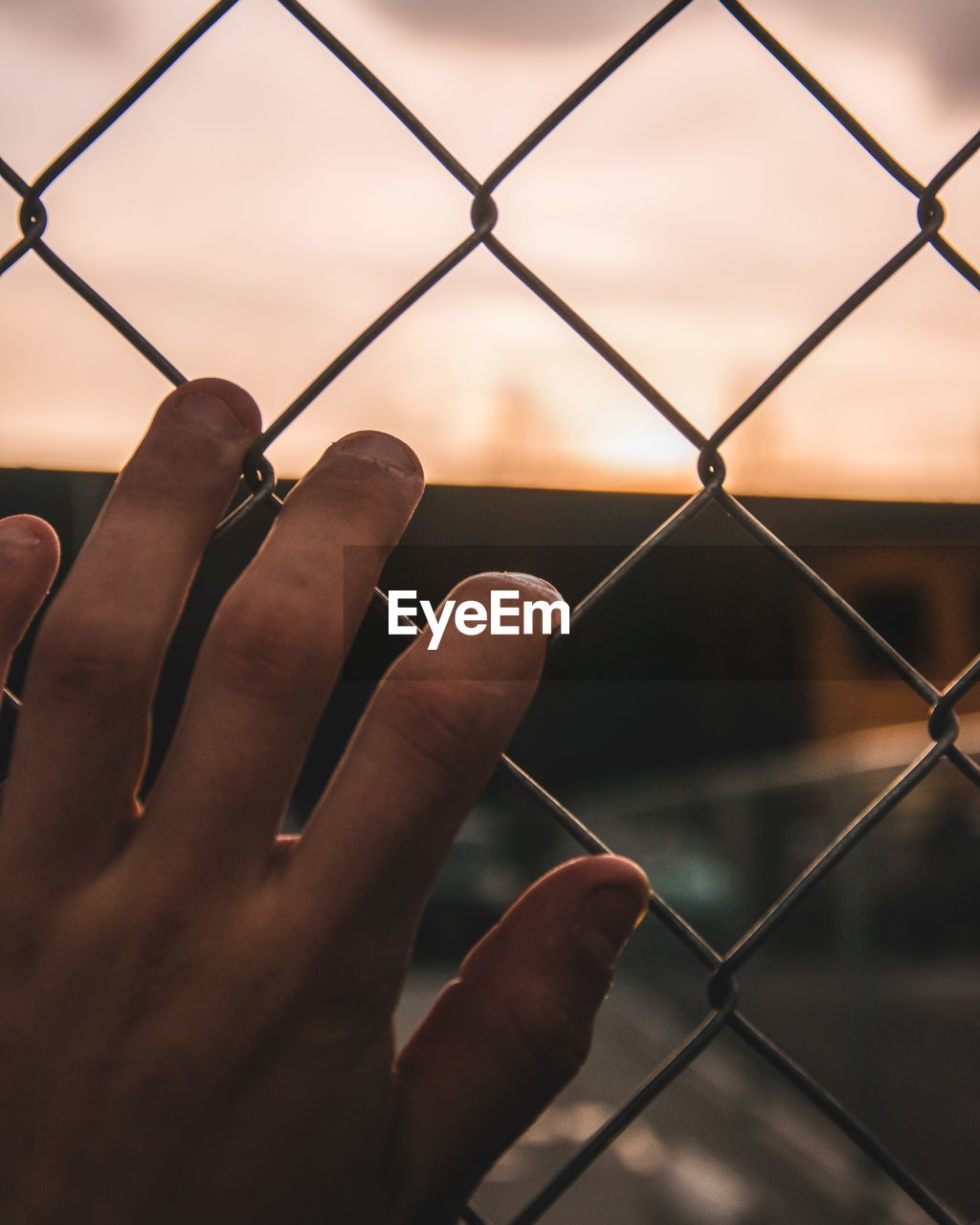 Close-up of hand holding chainlink fence against sky