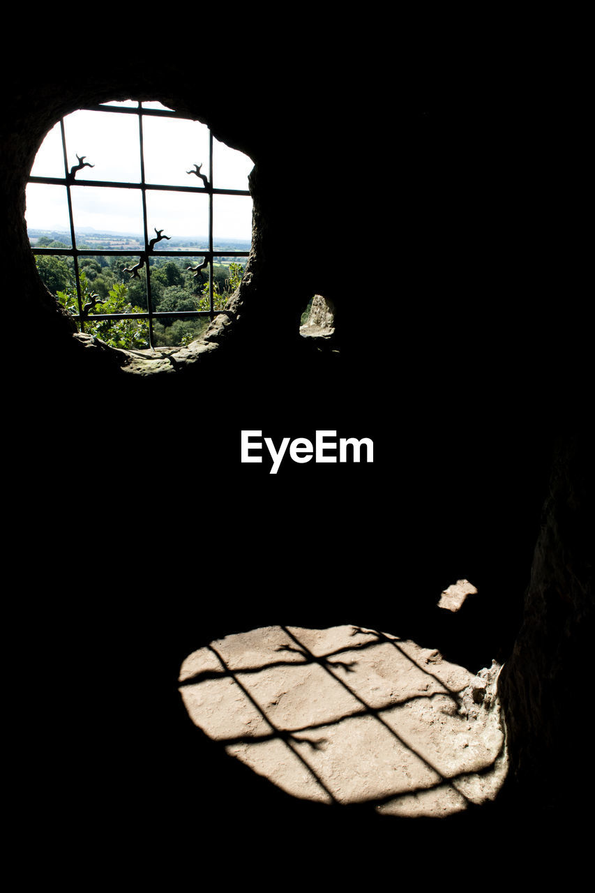 CLOSE-UP OF BIRD AGAINST CLEAR SKY SEEN THROUGH HOUSE