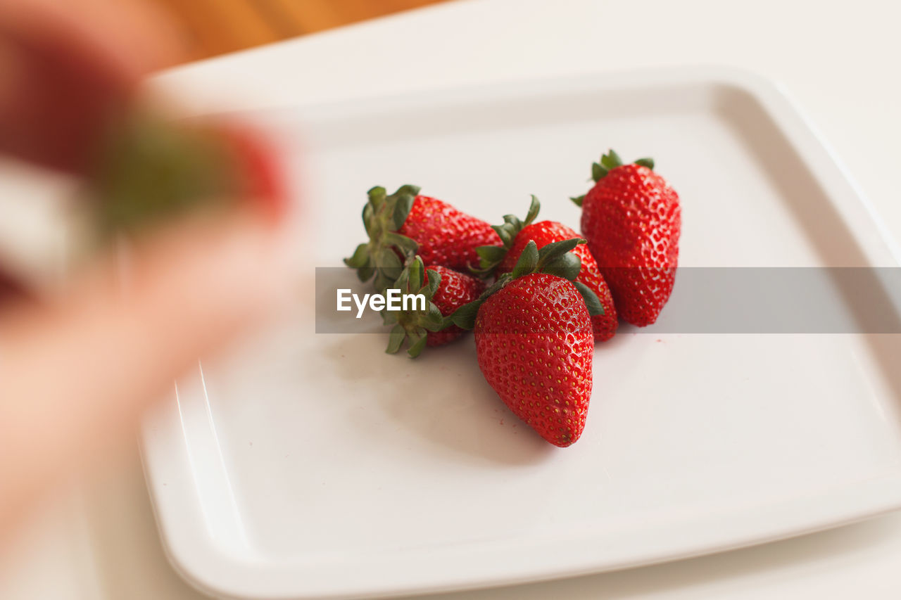 Cropped hand holding strawberry over plate