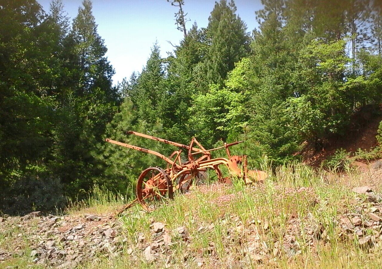 Old cart on field against trees