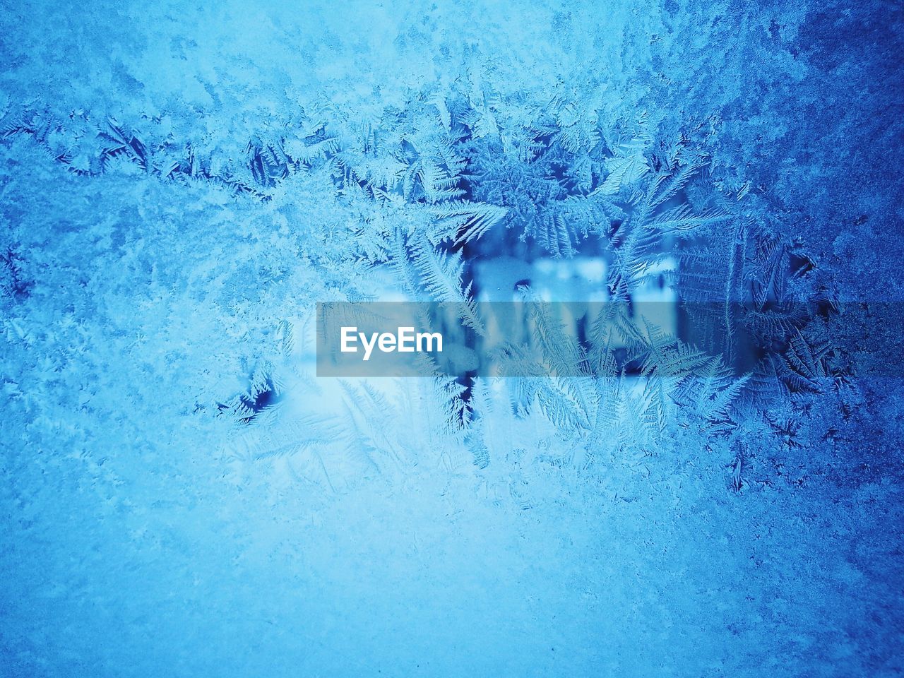 FULL FRAME SHOT OF FROZEN TREES ON LAND