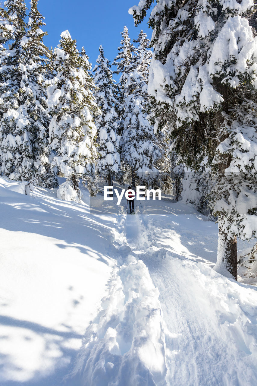 PERSON SKIING ON SNOWCAPPED MOUNTAIN