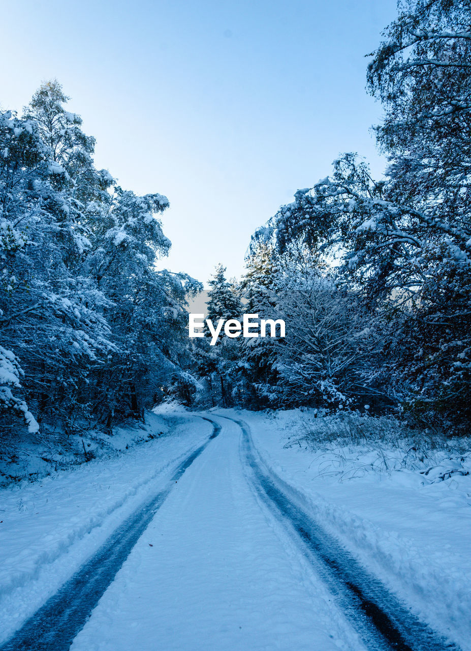 Empty road amidst snow covered trees against sky