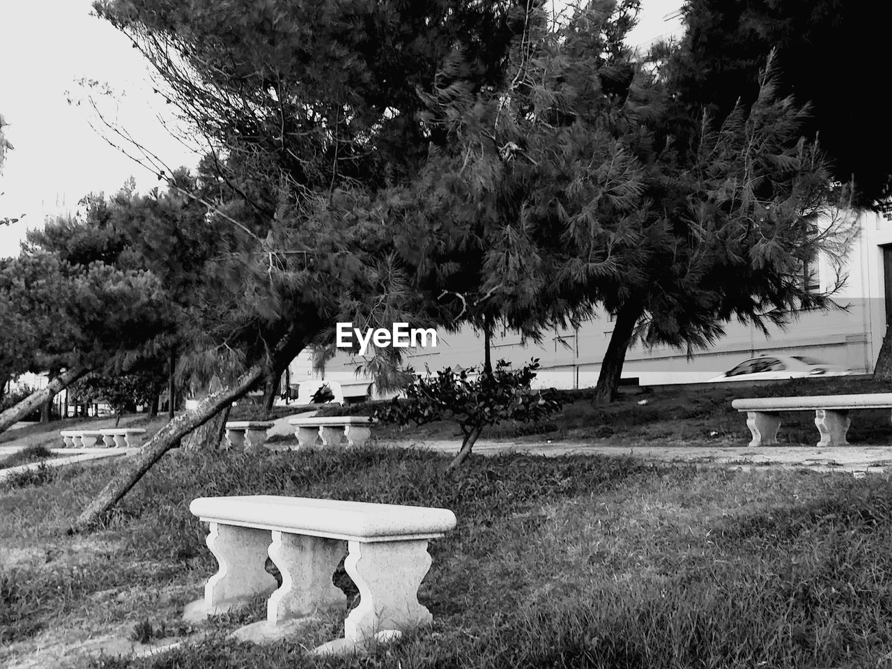 VIEW OF SWIMMING POOL AGAINST TREES