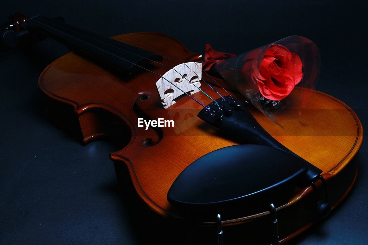 Close-up of rose on violin at table