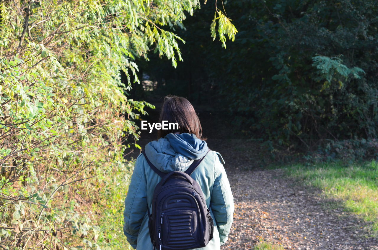 Rear view of woman walking on footpath by trees