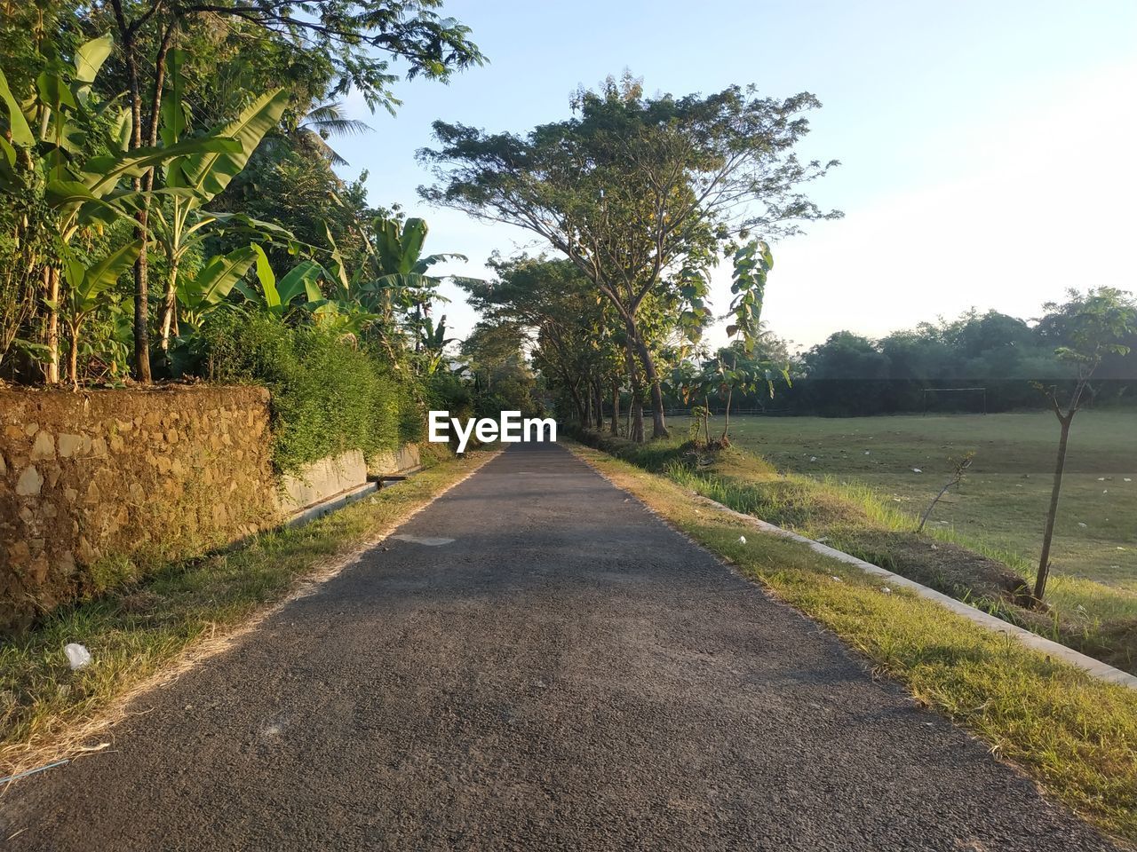 Road amidst trees against sky