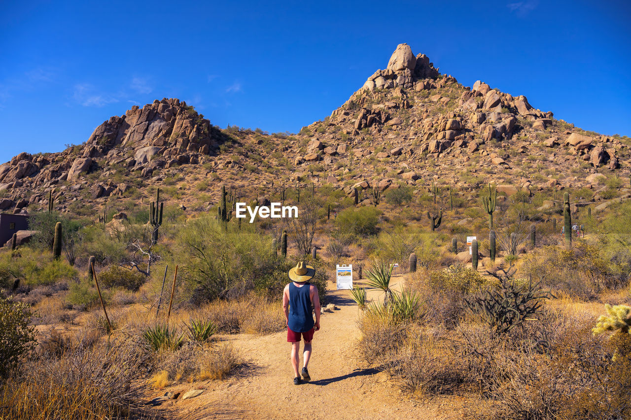 rear view of man standing on mountain against clear blue sky