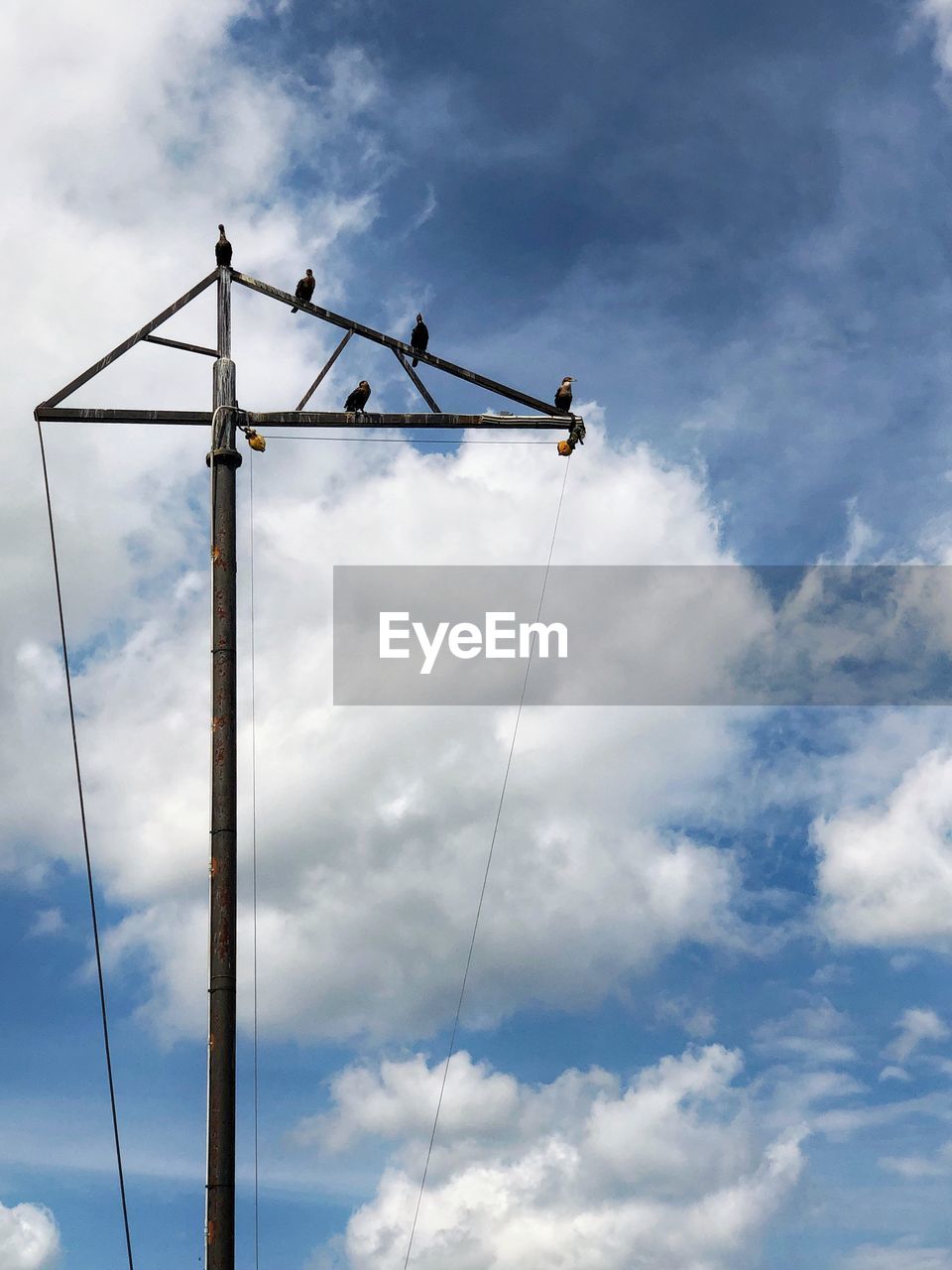 LOW ANGLE VIEW OF CRANE AGAINST BLUE SKY