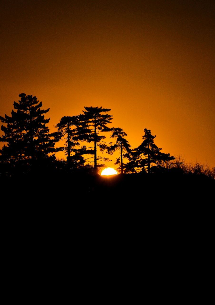 Silhouette trees on field against orange sky