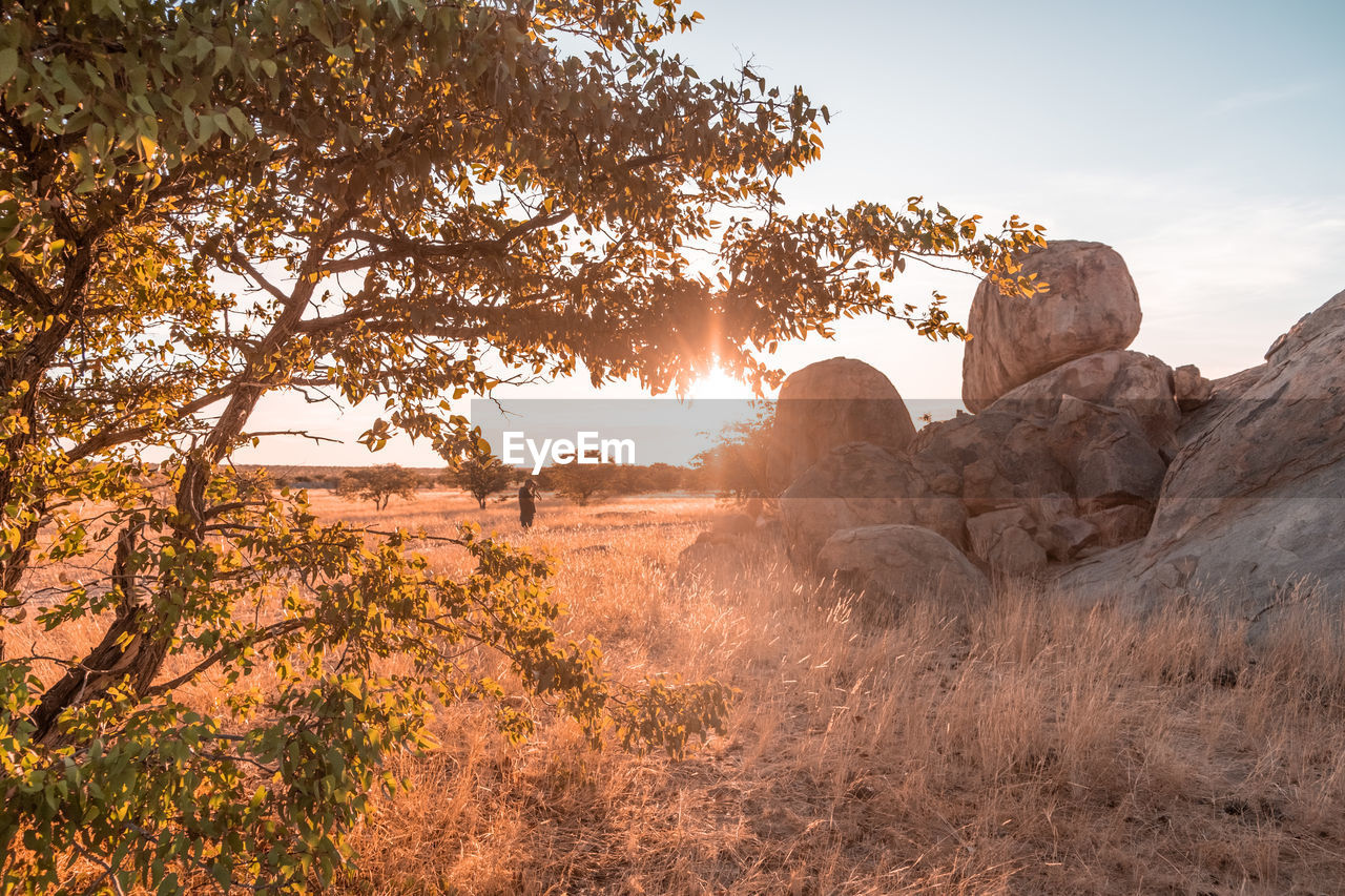 Namibian desert rocks, grass, and sunset in nature