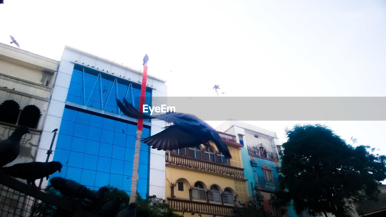 LOW ANGLE VIEW OF FLAGS AGAINST SKY