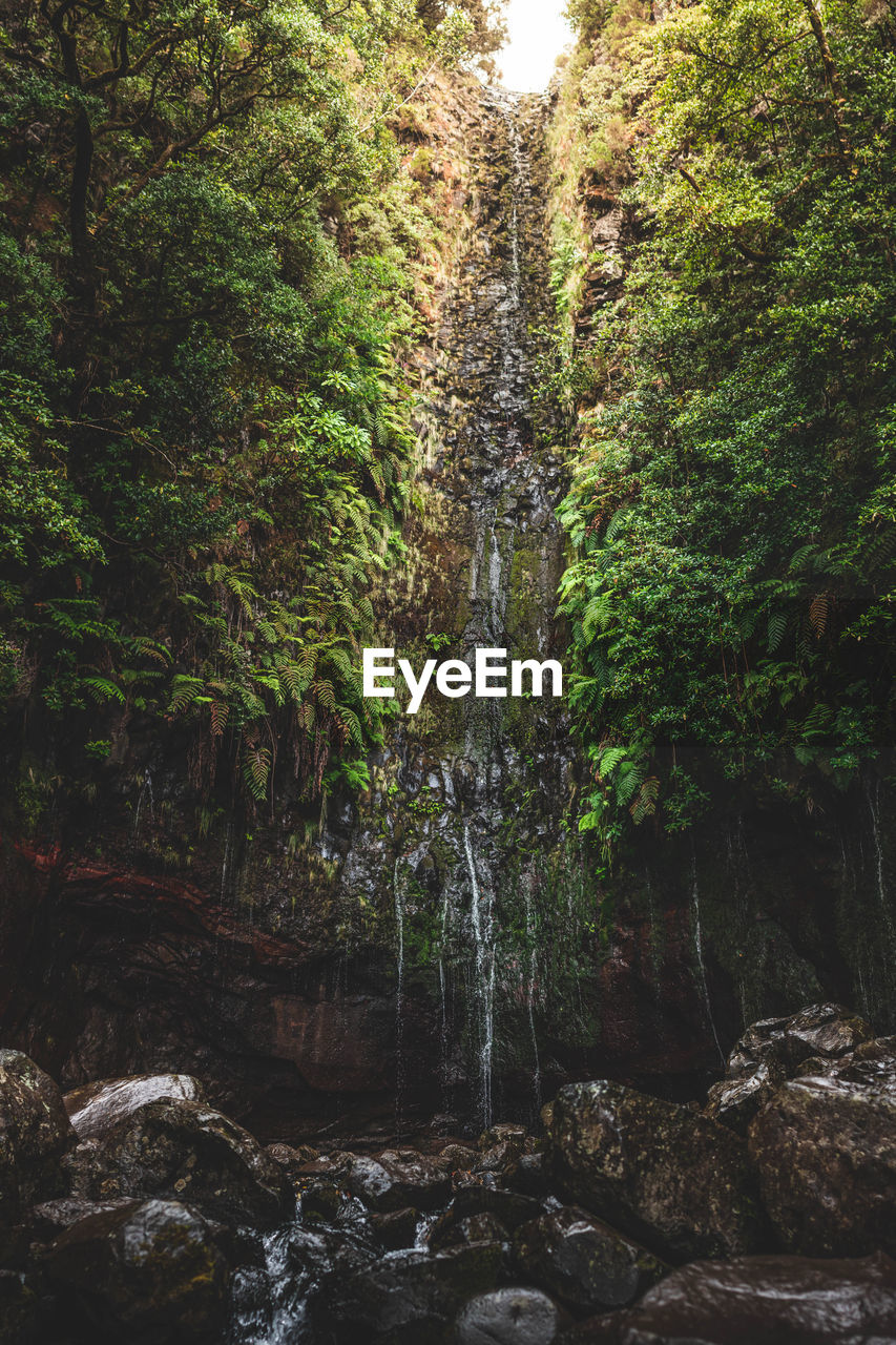 SCENIC VIEW OF WATERFALL