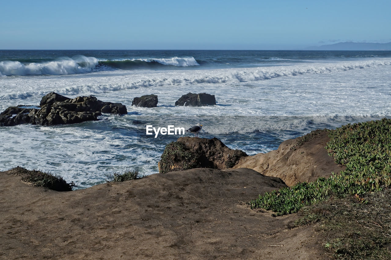 sea, water, land, beach, shore, body of water, ocean, rock, coast, sky, wave, scenics - nature, beauty in nature, nature, horizon, horizon over water, motion, wind wave, no people, terrain, sand, bay, coastline, tranquility, day, outdoors, tranquil scene, travel destinations, cliff, non-urban scene, clear sky, environment, sports, cove, water sports, idyllic