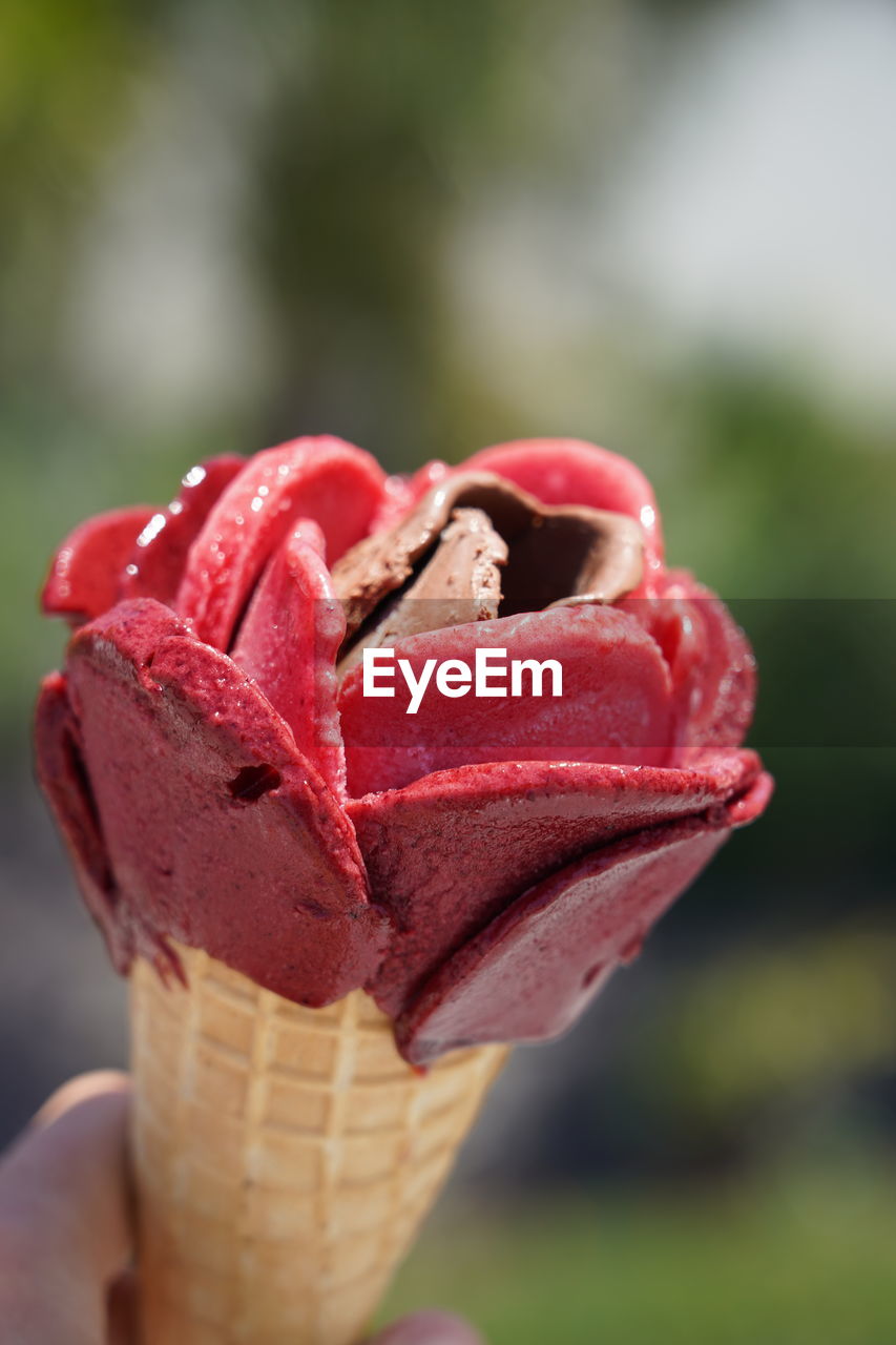 Close-up of hand holding handcrafted designer ice cream