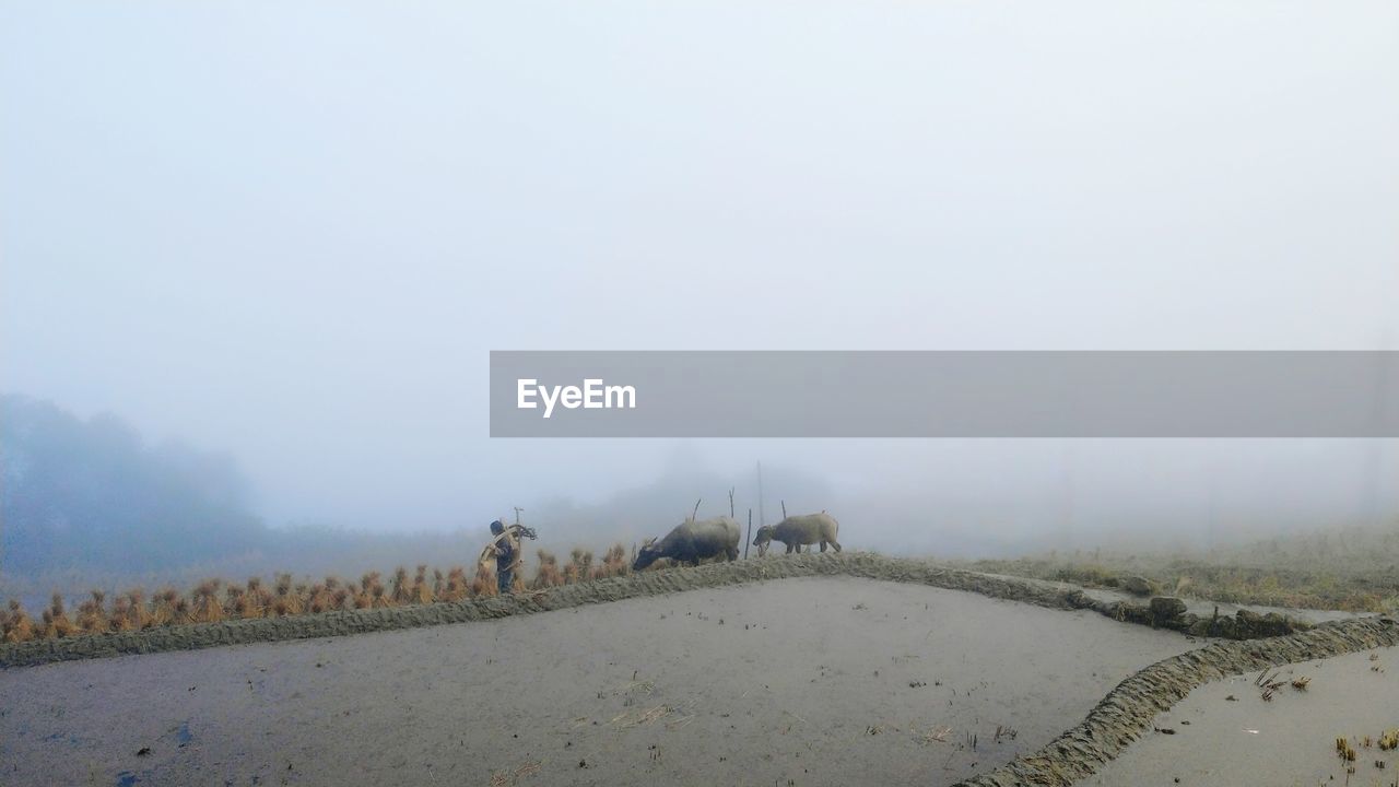 Scenic view of landscape against sky during winter