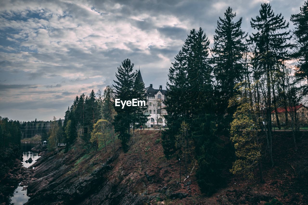 TREES GROWING BY BUILDING AGAINST SKY