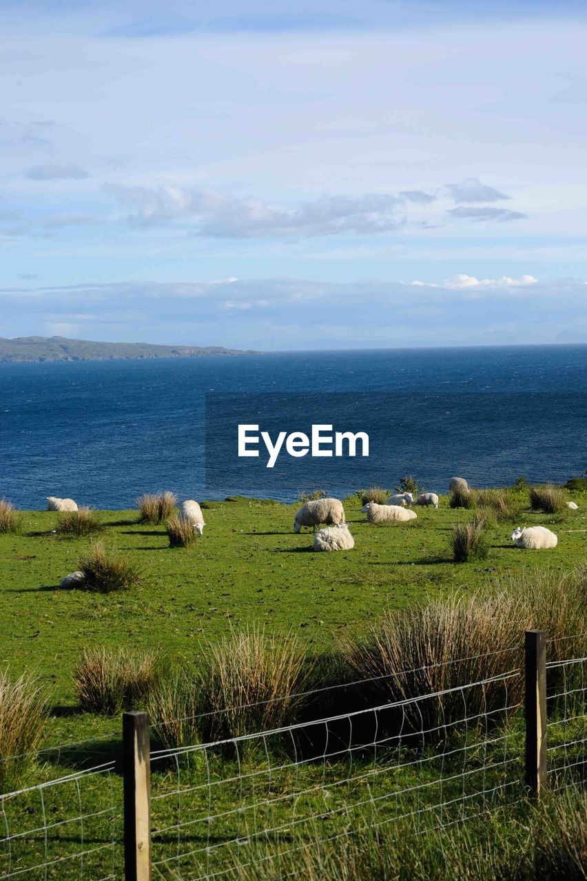 IDYLLIC VIEW OF SEA AGAINST SKY