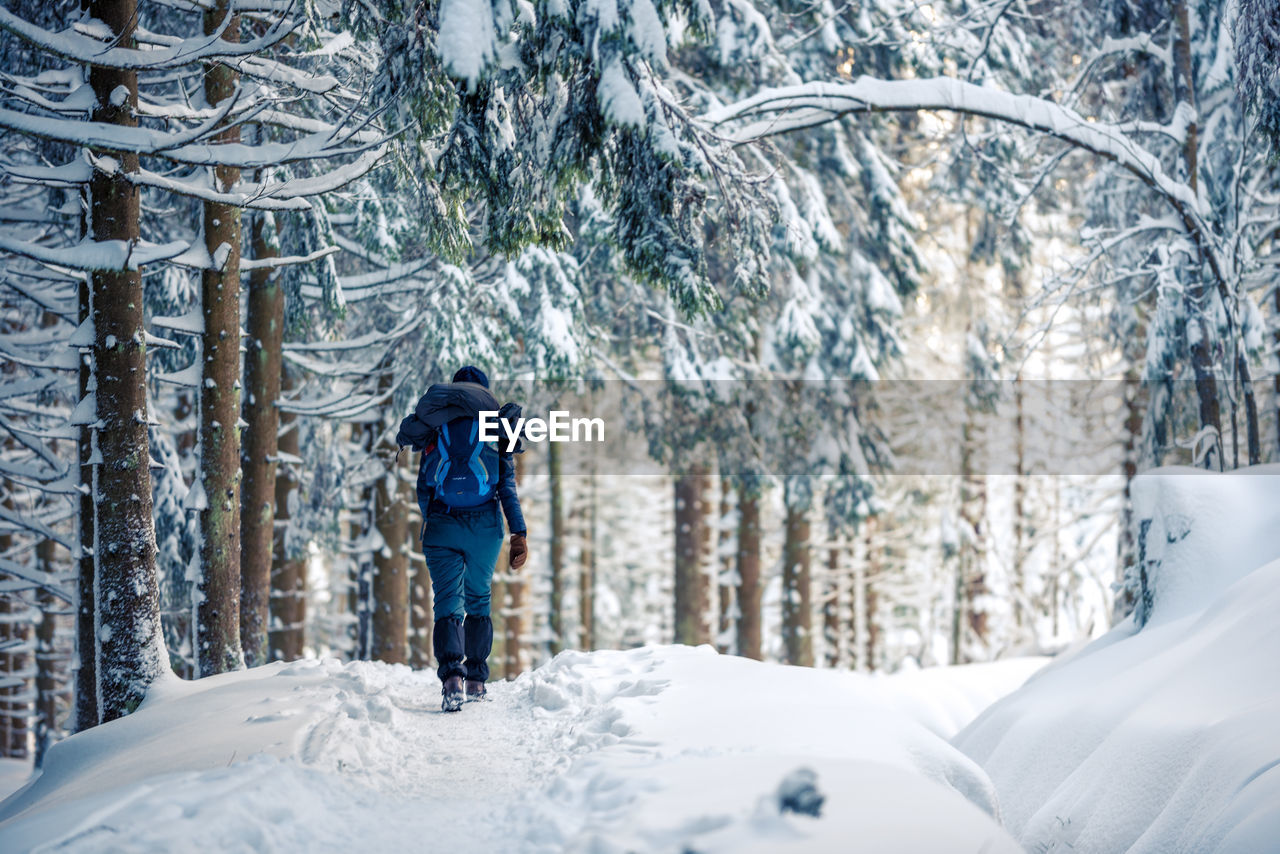 FULL LENGTH OF PERSON IN SNOW COVERED FOREST