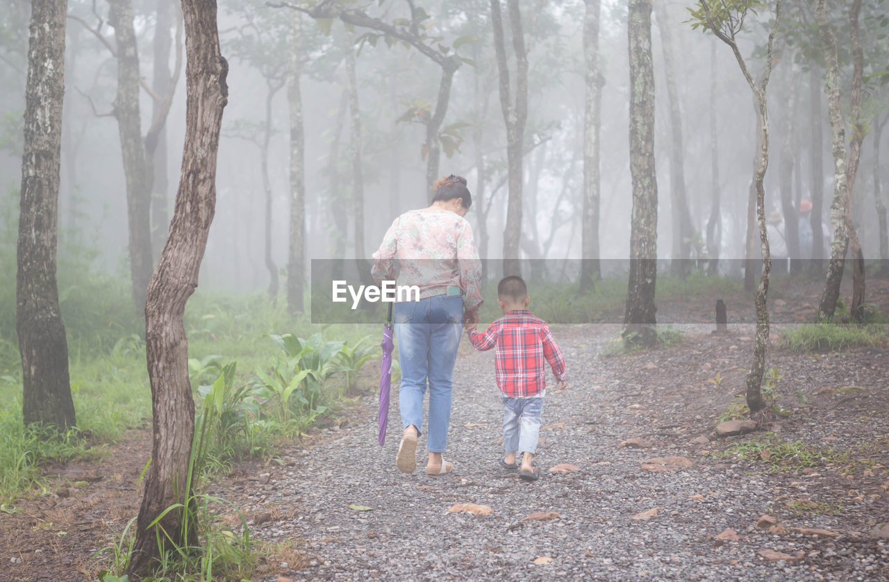 Rear view of mother and son walking in forest during foggy weather