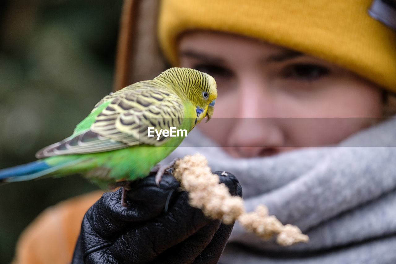 Close-up of girl feeding bird outdoors