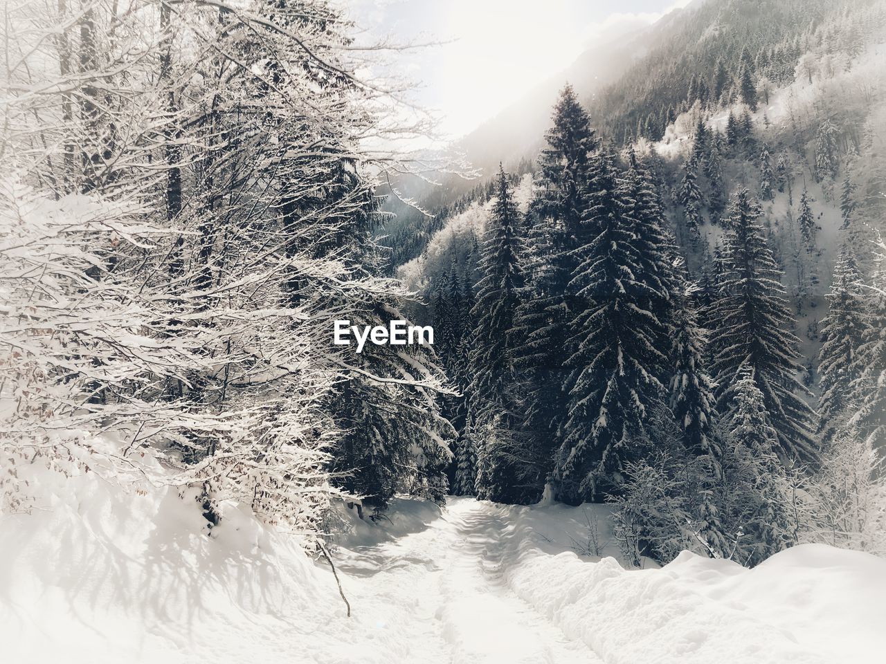 Scenic view of snow covered mountains