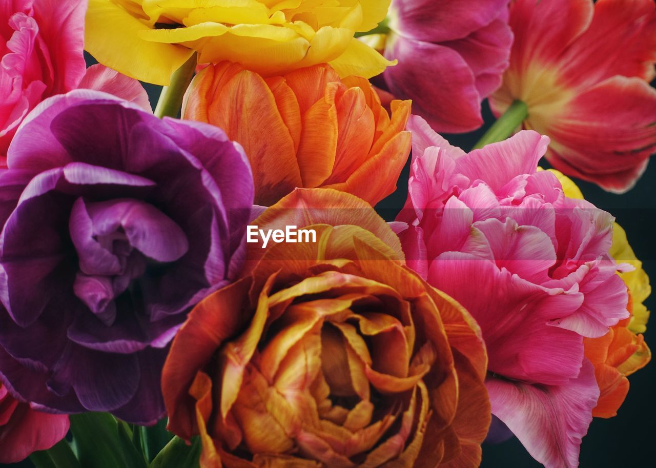 CLOSE-UP OF FRESH PINK ROSE BOUQUET