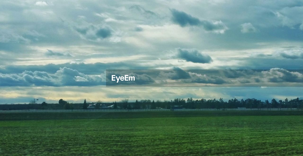 SCENIC VIEW OF GRASSY LANDSCAPE AGAINST CLOUDY SKY