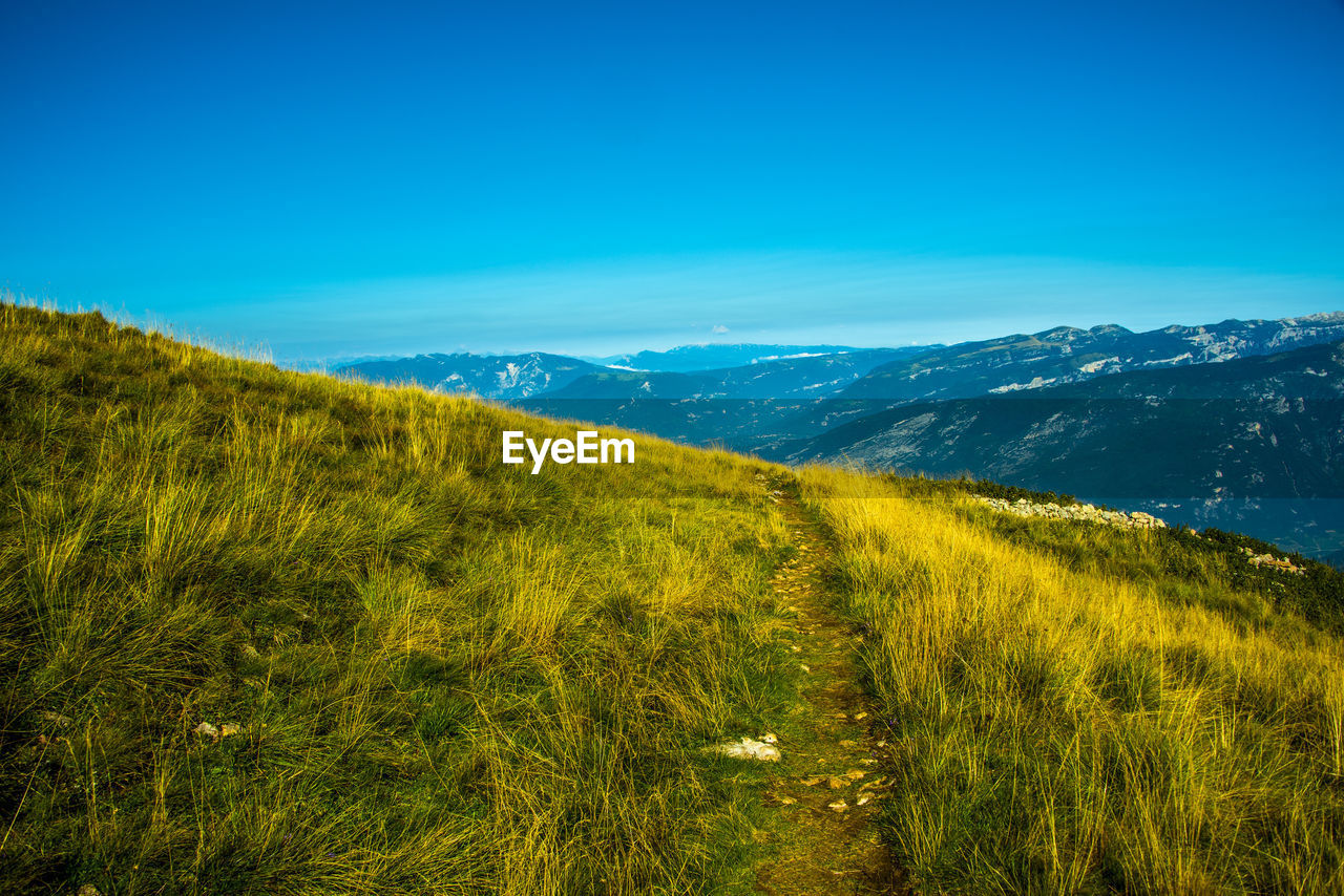 Path among the pastures on monte altissimo near lake garda, trento, italy