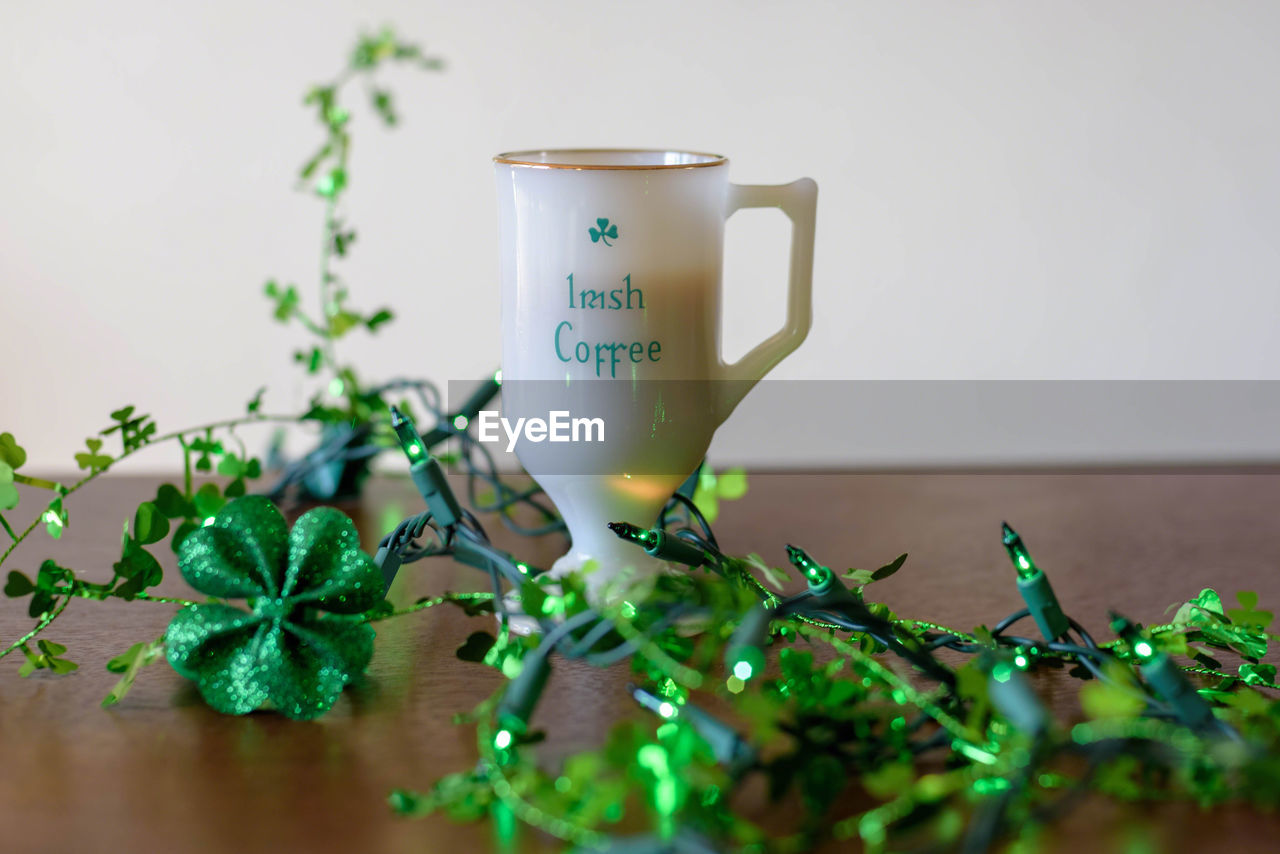 CLOSE-UP OF PLANT IN CUP ON TABLE